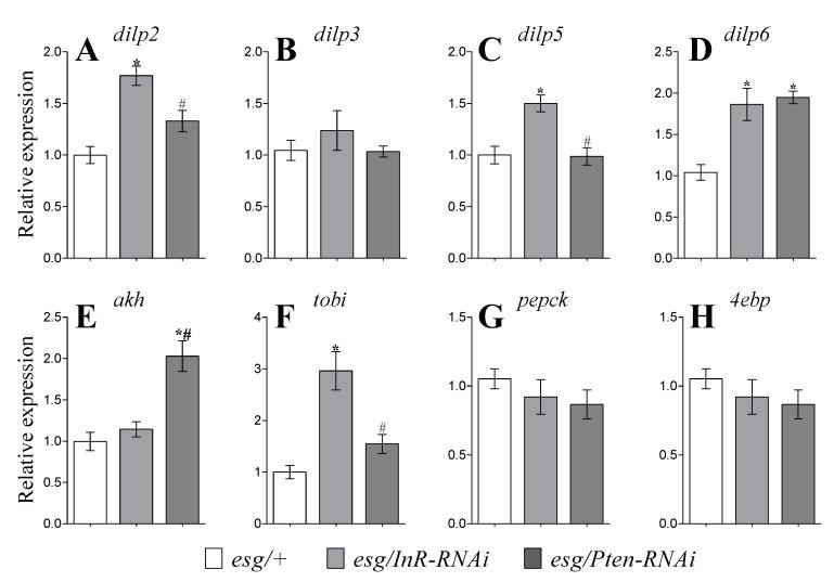 https://cdn.ncbi.nlm.nih.gov/pmc/blobs/1c97/7226132/69b5e5d393bf/cells-09-00803-g004.jpg