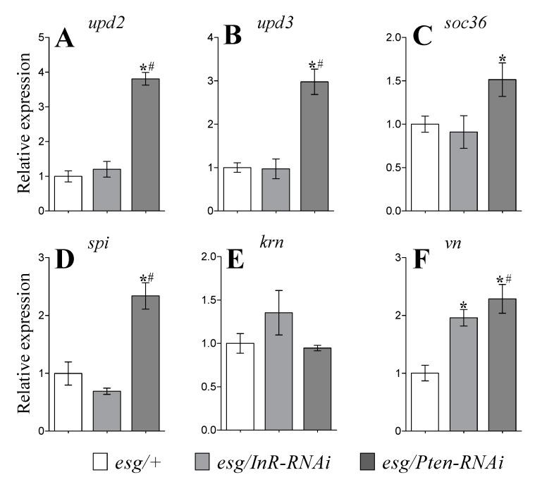 https://cdn.ncbi.nlm.nih.gov/pmc/blobs/1c97/7226132/6f2ec0380264/cells-09-00803-g005.jpg
