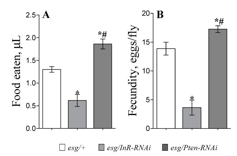 https://cdn.ncbi.nlm.nih.gov/pmc/blobs/1c97/7226132/ae947a3e86b7/cells-09-00803-g002.jpg