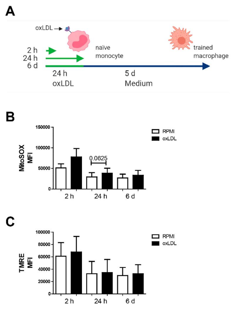 https://cdn.ncbi.nlm.nih.gov/pmc/blobs/1ca1/7611242/78524bc67084/EMS129481-f001.jpg