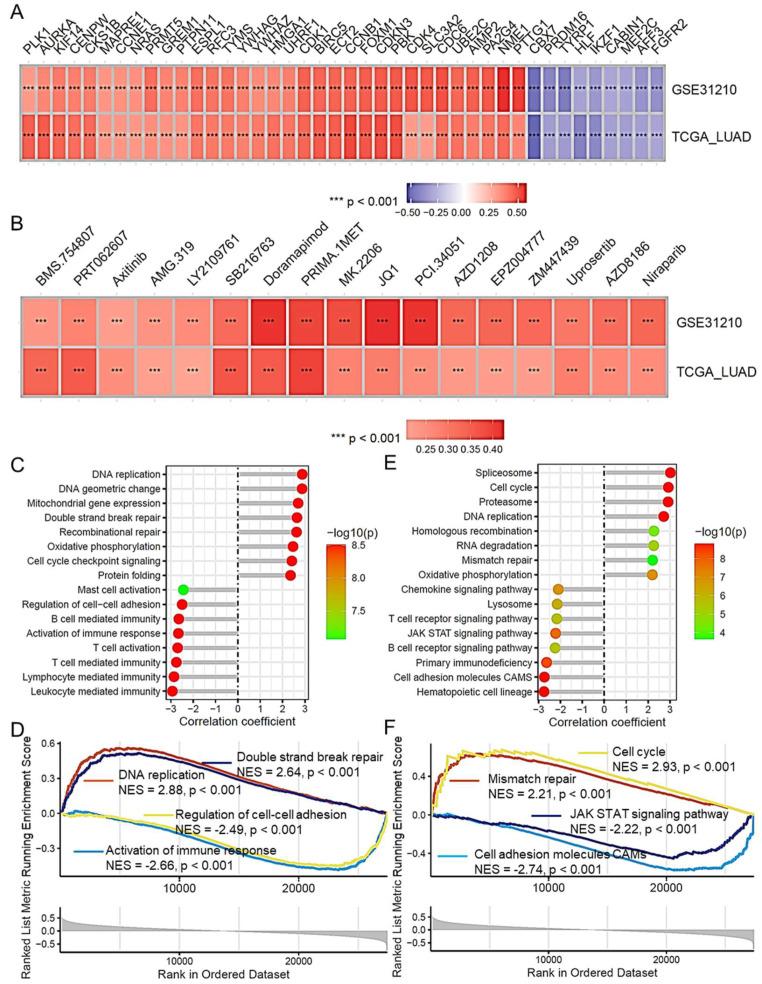 https://cdn.ncbi.nlm.nih.gov/pmc/blobs/1ca4/12026577/5656d6117e35/ijms-26-03478-g007.jpg