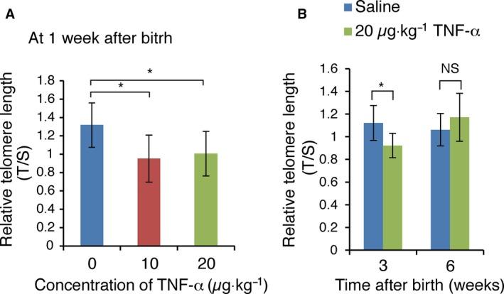 https://cdn.ncbi.nlm.nih.gov/pmc/blobs/1cc6/4794794/a26d58a7f2b4/FEB4-6-56-g001.jpg