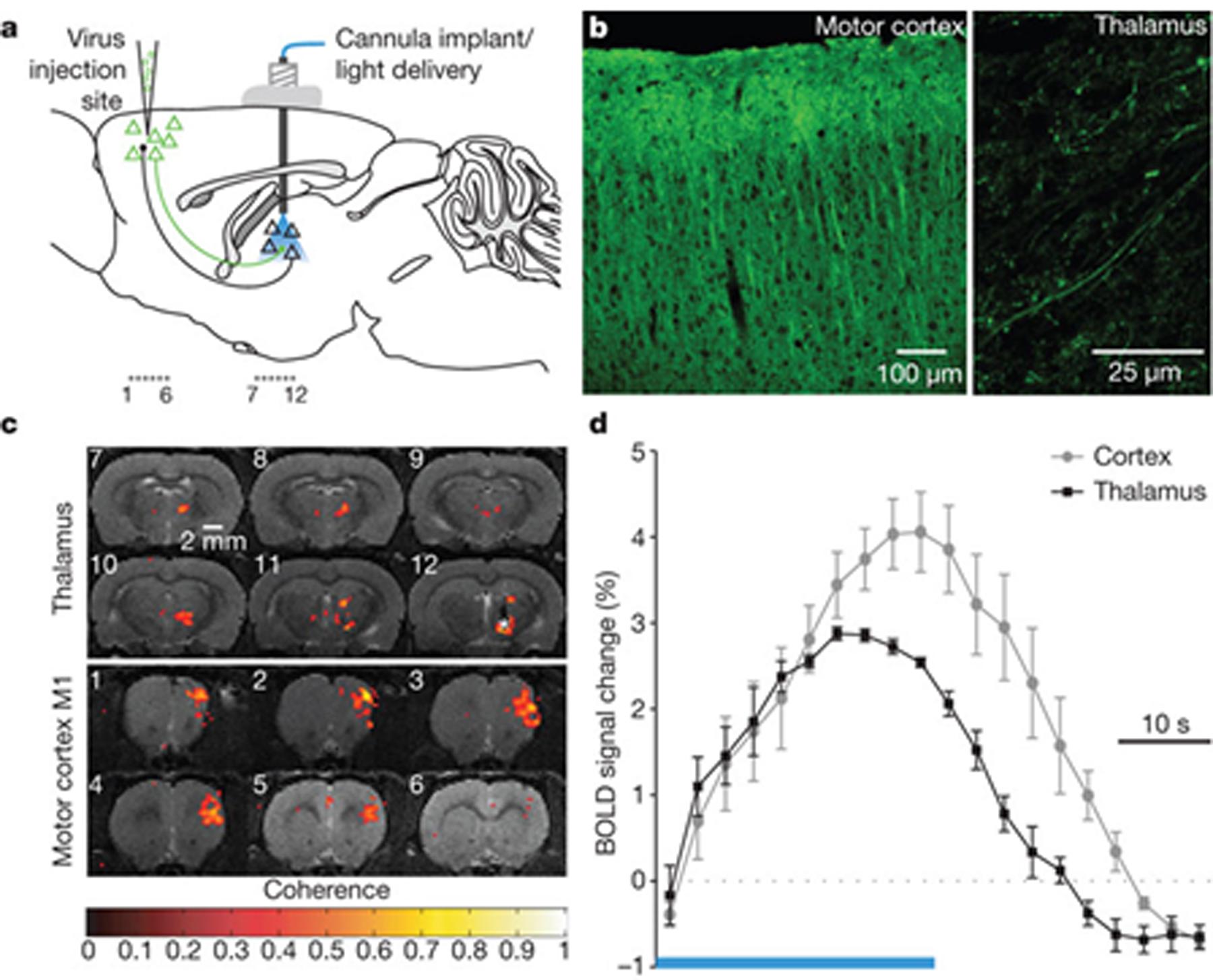 https://cdn.ncbi.nlm.nih.gov/pmc/blobs/1ce4/8323844/97ab4540f442/nihms-1676111-f0003.jpg