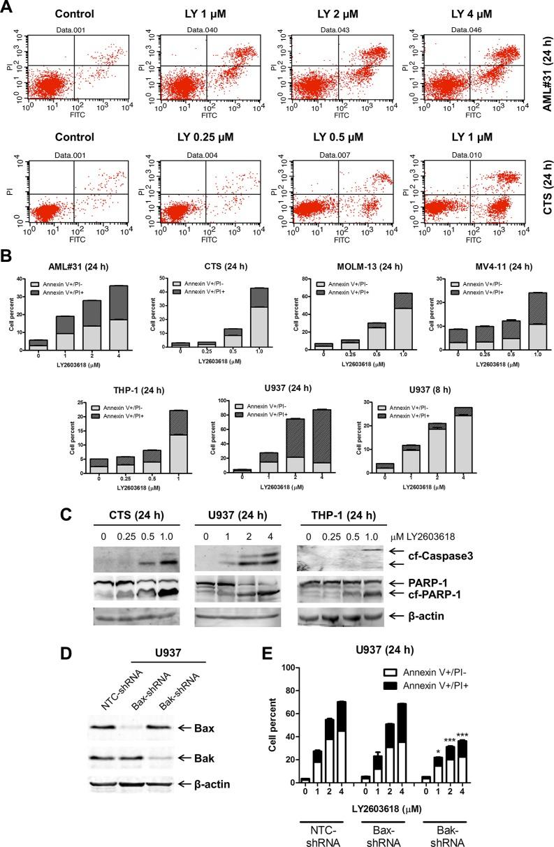 https://cdn.ncbi.nlm.nih.gov/pmc/blobs/1cf8/5085189/075604c27194/oncotarget-07-34785-g002.jpg