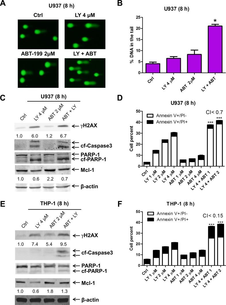 https://cdn.ncbi.nlm.nih.gov/pmc/blobs/1cf8/5085189/bd063cea11ef/oncotarget-07-34785-g005.jpg