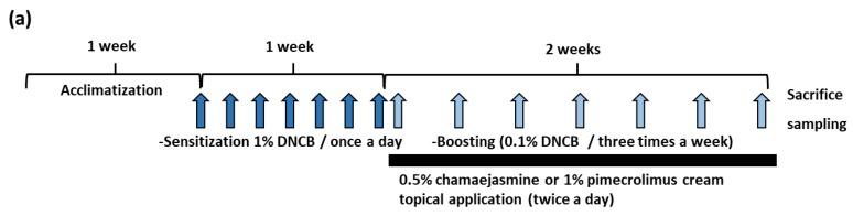 https://cdn.ncbi.nlm.nih.gov/pmc/blobs/1d18/6921031/a2fd2755764e/biomolecules-09-00697-g004a.jpg