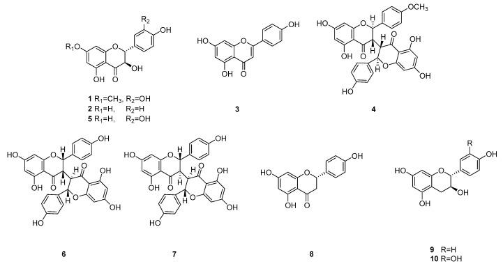 https://cdn.ncbi.nlm.nih.gov/pmc/blobs/1d18/6921031/e07d9dee07e3/biomolecules-09-00697-g002.jpg