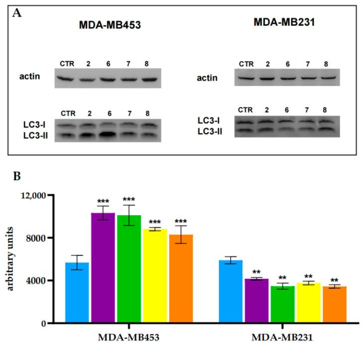 https://cdn.ncbi.nlm.nih.gov/pmc/blobs/1d37/12429880/03a532577f91/molecules-30-03533-g009.jpg