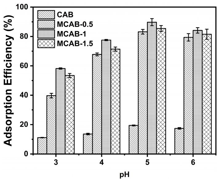 https://cdn.ncbi.nlm.nih.gov/pmc/blobs/1d75/11678989/7d7ebd2bff1f/polymers-16-03454-g005.jpg