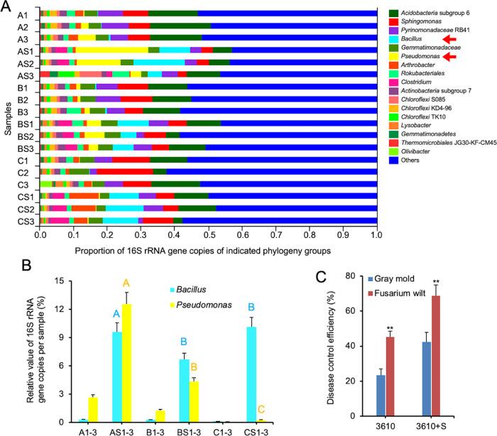 https://cdn.ncbi.nlm.nih.gov/pmc/blobs/1d84/8397739/f12cbe3b7627/41396_2021_966_Fig5_HTML.jpg