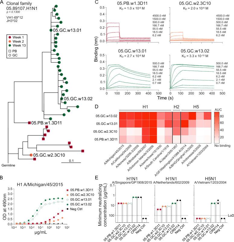 https://cdn.ncbi.nlm.nih.gov/pmc/blobs/1d8a/11211068/672001e64535/JEM_20240668_Fig3.jpg