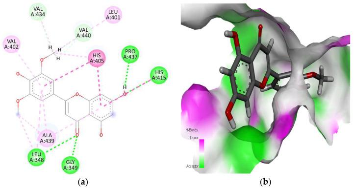 https://cdn.ncbi.nlm.nih.gov/pmc/blobs/1db6/10707554/ce215471ae38/molecules-28-07693-g002.jpg