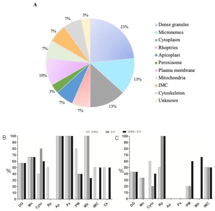 https://cdn.ncbi.nlm.nih.gov/pmc/blobs/1db7/8000356/f9b40d315c18/microorganisms-09-00513-g003.jpg