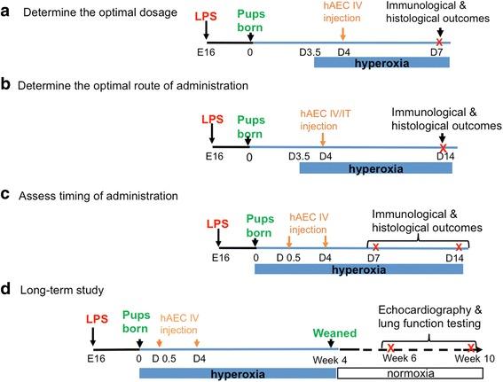 https://cdn.ncbi.nlm.nih.gov/pmc/blobs/1dbb/5681809/9f7d5c420d28/13287_2017_689_Fig1_HTML.jpg