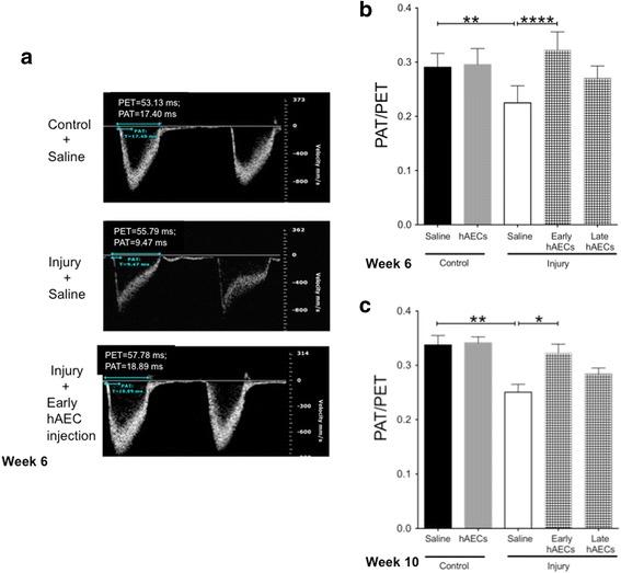 https://cdn.ncbi.nlm.nih.gov/pmc/blobs/1dbb/5681809/ca538bc9bd69/13287_2017_689_Fig13_HTML.jpg