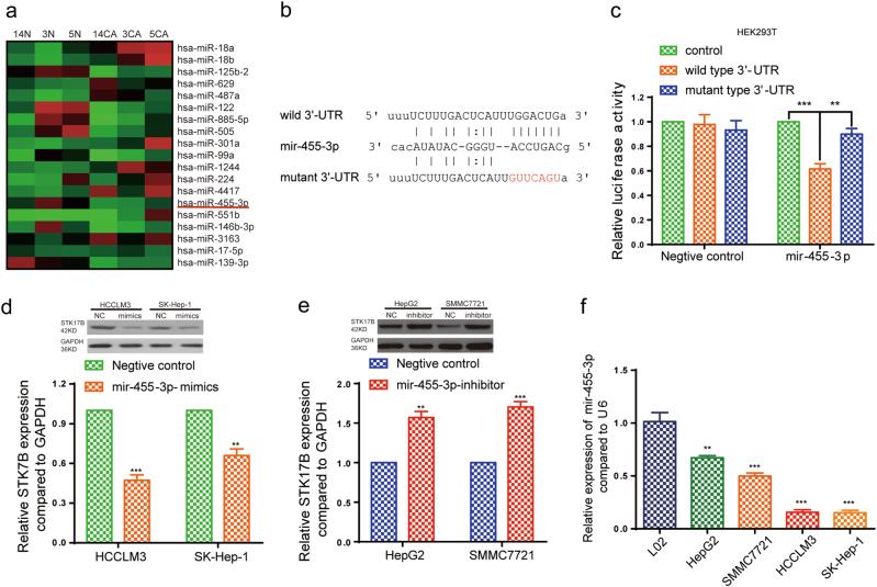 https://cdn.ncbi.nlm.nih.gov/pmc/blobs/1dcd/5833726/5f3bfed3f905/41419_2018_262_Fig5_HTML.jpg
