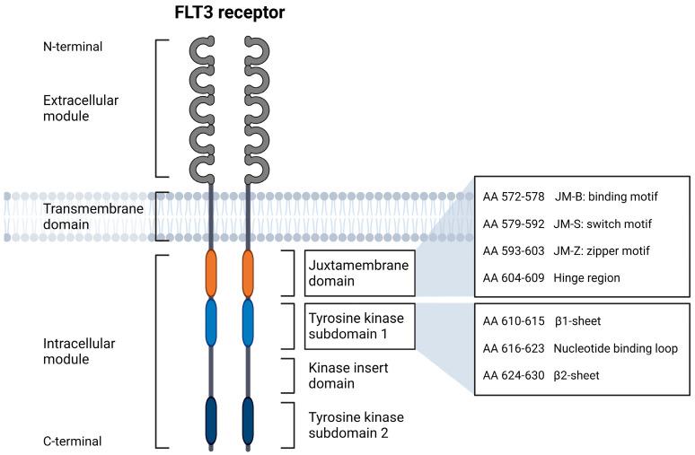 https://cdn.ncbi.nlm.nih.gov/pmc/blobs/1dd5/10251898/c12121a26fa2/cancers-15-02991-g001.jpg