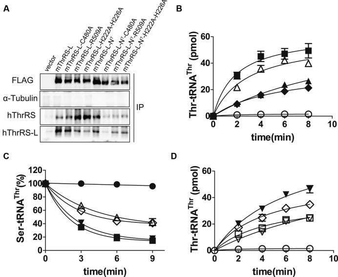 https://cdn.ncbi.nlm.nih.gov/pmc/blobs/1de2/5909460/34156df2d23a/gky211fig5.jpg