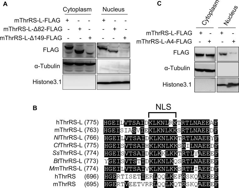 https://cdn.ncbi.nlm.nih.gov/pmc/blobs/1de2/5909460/bcb31d9c64c4/gky211fig4.jpg