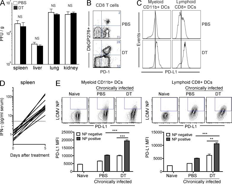 https://cdn.ncbi.nlm.nih.gov/pmc/blobs/1df4/4144726/3026c84d3252/JEM_20132577_Fig7.jpg