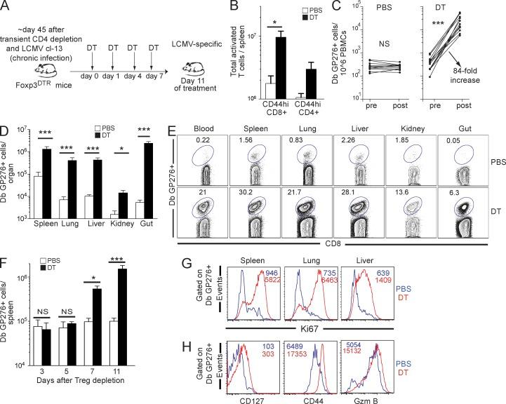 https://cdn.ncbi.nlm.nih.gov/pmc/blobs/1df4/4144726/87e8a12b5d50/JEM_20132577_Fig2.jpg