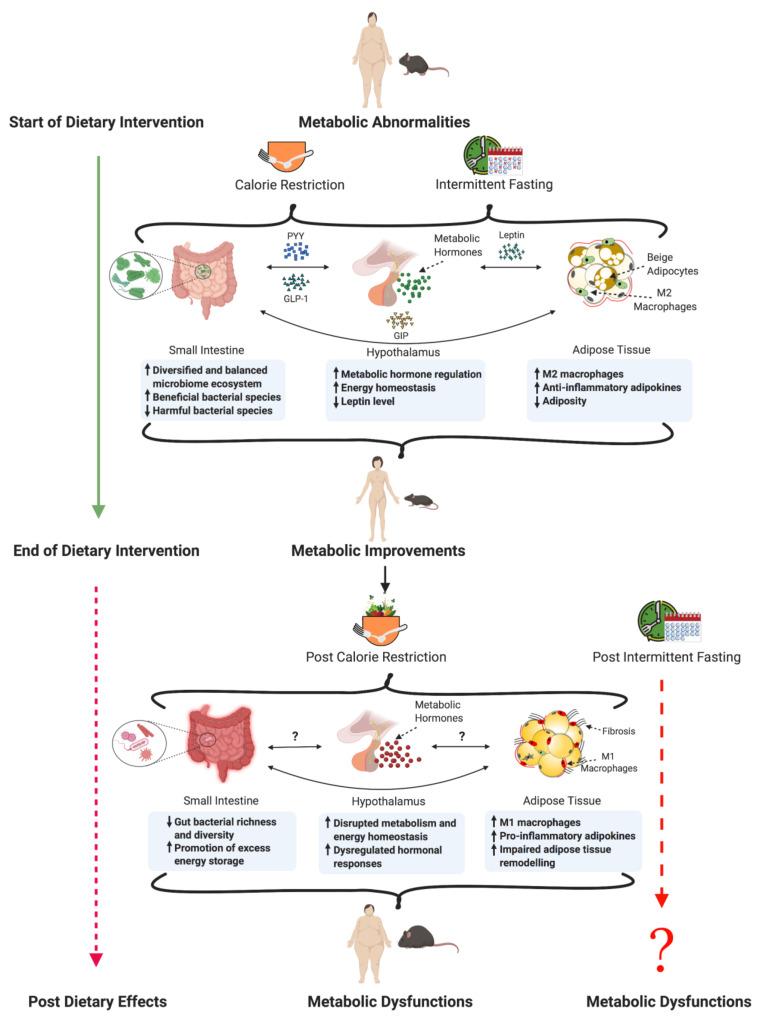 https://cdn.ncbi.nlm.nih.gov/pmc/blobs/1dfc/7909542/c2d8c5be8873/metabolites-11-00062-g001.jpg