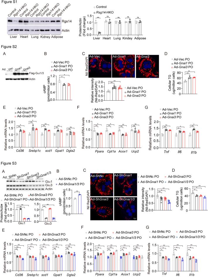 https://cdn.ncbi.nlm.nih.gov/pmc/blobs/1e14/10844864/942fe9bda848/figs1.jpg