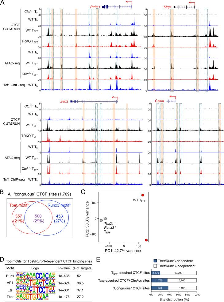 https://cdn.ncbi.nlm.nih.gov/pmc/blobs/1e3b/9948760/2c949e9f20dc/JEM_20221288_FigS4.jpg