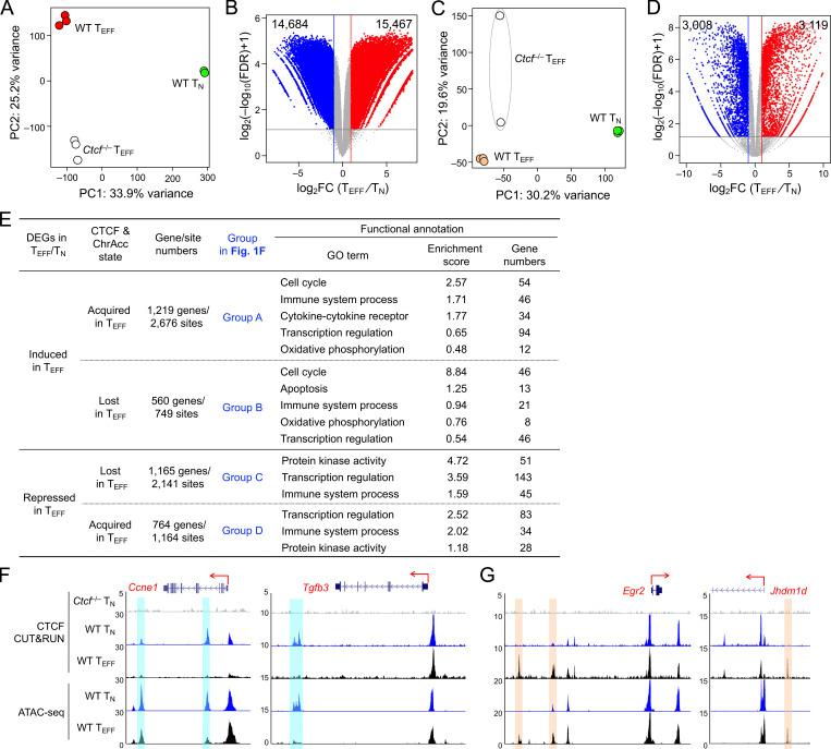 https://cdn.ncbi.nlm.nih.gov/pmc/blobs/1e3b/9948760/8735f633b2cb/JEM_20221288_FigS2.jpg