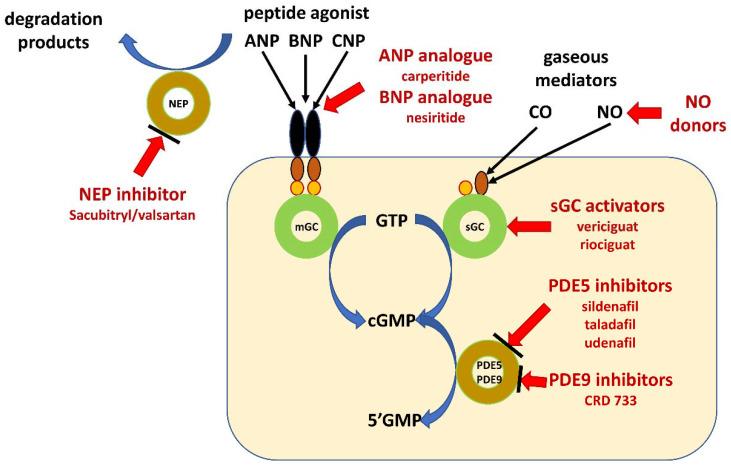 https://cdn.ncbi.nlm.nih.gov/pmc/blobs/1e49/8200204/95c0bfde5984/molecules-26-03418-g002.jpg