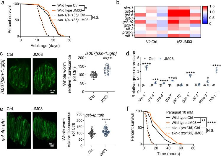 https://cdn.ncbi.nlm.nih.gov/pmc/blobs/1e54/9071264/4a2781b2f7ac/elife-72410-fig6.jpg