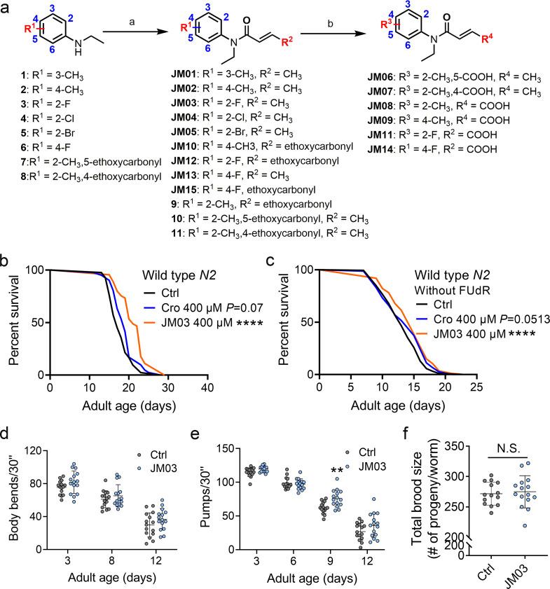 https://cdn.ncbi.nlm.nih.gov/pmc/blobs/1e54/9071264/5d3159ee1746/elife-72410-fig2.jpg
