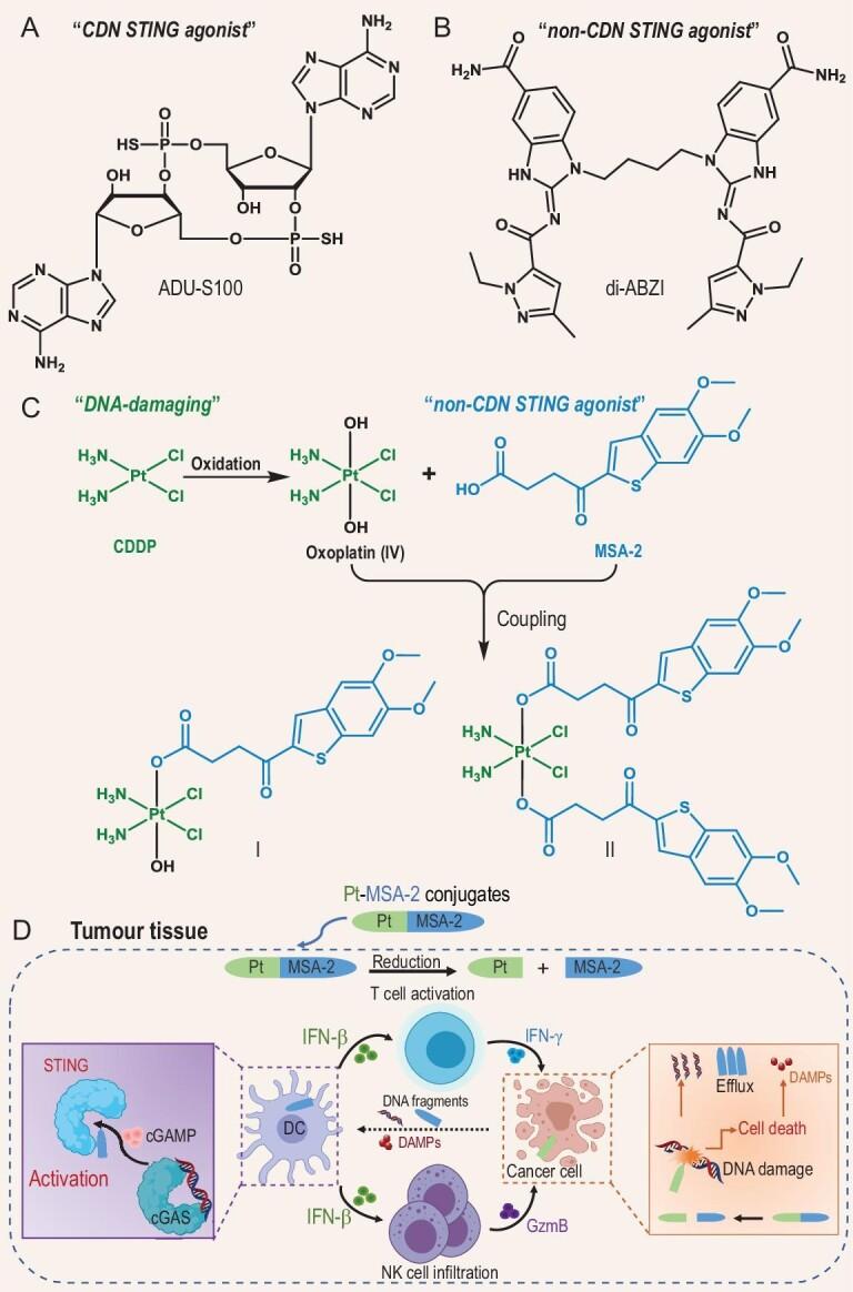 https://cdn.ncbi.nlm.nih.gov/pmc/blobs/1e56/10852989/1490b78f570b/nwae020fig1.jpg