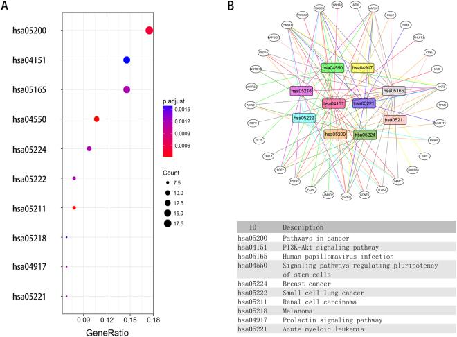 https://cdn.ncbi.nlm.nih.gov/pmc/blobs/1e5d/5955976/2144ddc6fb64/41598_2018_22493_Fig5_HTML.jpg