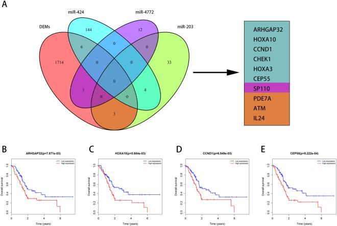 https://cdn.ncbi.nlm.nih.gov/pmc/blobs/1e5d/5955976/b52cf60cd1fb/41598_2018_22493_Fig7_HTML.jpg