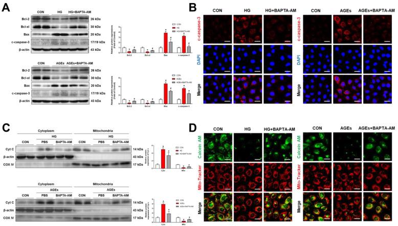 https://cdn.ncbi.nlm.nih.gov/pmc/blobs/1e60/9776029/954eaf78680a/biomolecules-12-01778-g004.jpg