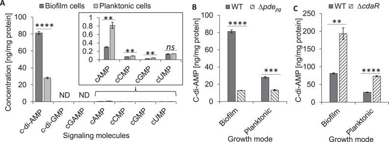 https://cdn.ncbi.nlm.nih.gov/pmc/blobs/1e8b/9259658/f10a827720a5/41522_2022_316_Fig1_HTML.jpg