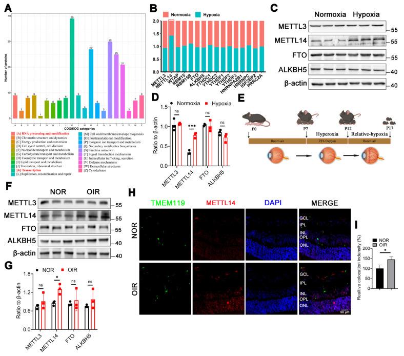 https://cdn.ncbi.nlm.nih.gov/pmc/blobs/1e8e/12036877/ba95750a8caf/thnov15p5481g001.jpg