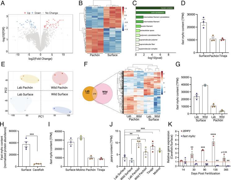 https://cdn.ncbi.nlm.nih.gov/pmc/blobs/1ea3/9945943/d27297b10df6/pnas.2204427120fig02.jpg