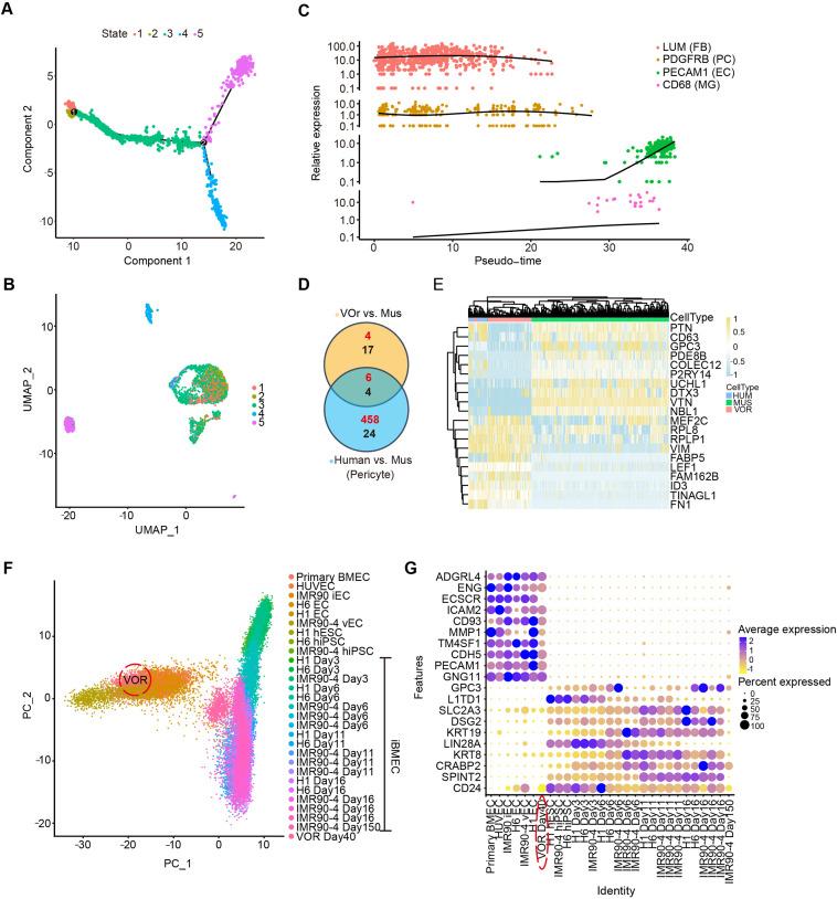 https://cdn.ncbi.nlm.nih.gov/pmc/blobs/1eb8/9246368/9d7b03942227/elife-76707-fig3-figsupp1.jpg