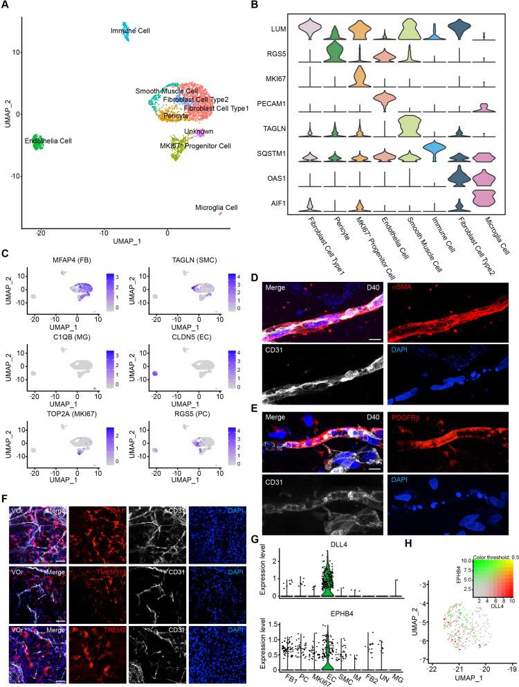 https://cdn.ncbi.nlm.nih.gov/pmc/blobs/1eb8/9246368/e564008a10fd/elife-76707-fig2.jpg