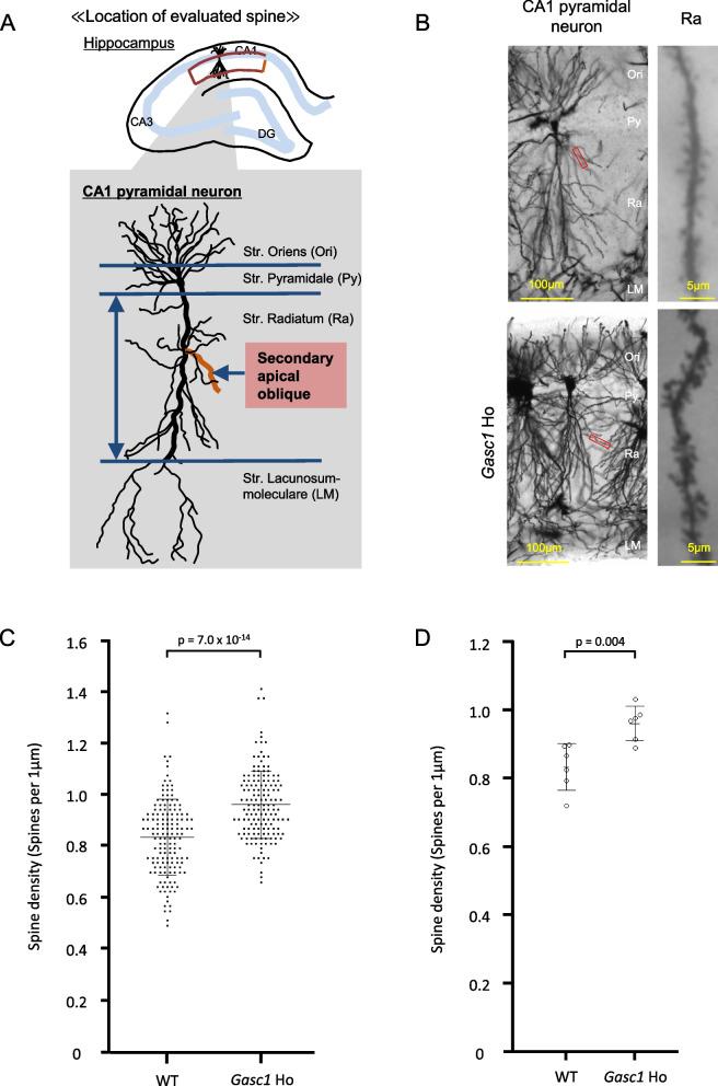 https://cdn.ncbi.nlm.nih.gov/pmc/blobs/1ece/12239421/bba53f63806d/41232_2025_374_Fig5_HTML.jpg