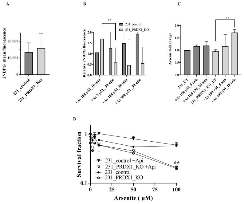 https://cdn.ncbi.nlm.nih.gov/pmc/blobs/1edc/10705171/d00e387d5b52/cells-12-02682-g005.jpg