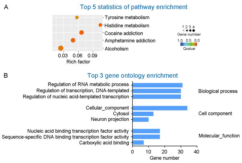 https://cdn.ncbi.nlm.nih.gov/pmc/blobs/1ede/8746785/7718ece1bc72/nutrients-14-00066-g005.jpg