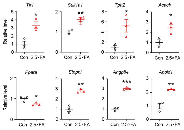 https://cdn.ncbi.nlm.nih.gov/pmc/blobs/1ede/8746785/db83df3c90b7/nutrients-14-00066-g006.jpg