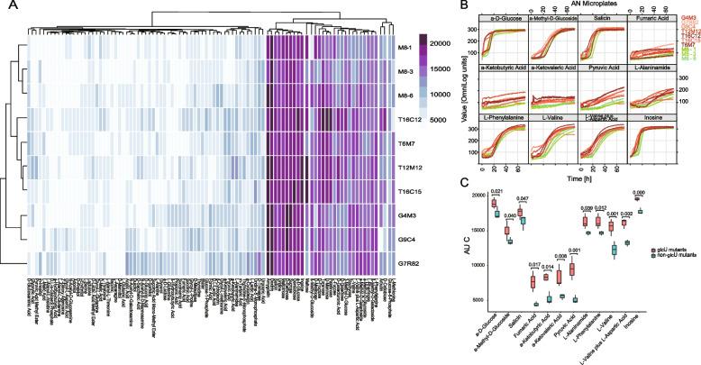 https://cdn.ncbi.nlm.nih.gov/pmc/blobs/1ee1/9682673/213e872e3c82/40168_2022_1398_Fig4_HTML.jpg