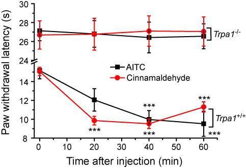https://cdn.ncbi.nlm.nih.gov/pmc/blobs/1ee3/2822744/5368dcc1469c/1744-8069-6-4-7.jpg