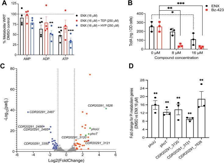 https://cdn.ncbi.nlm.nih.gov/pmc/blobs/1eed/11566853/ae2683adc310/gr6.jpg