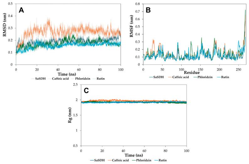 https://cdn.ncbi.nlm.nih.gov/pmc/blobs/1ef2/12383815/ee999a972692/biomolecules-15-01137-g004.jpg