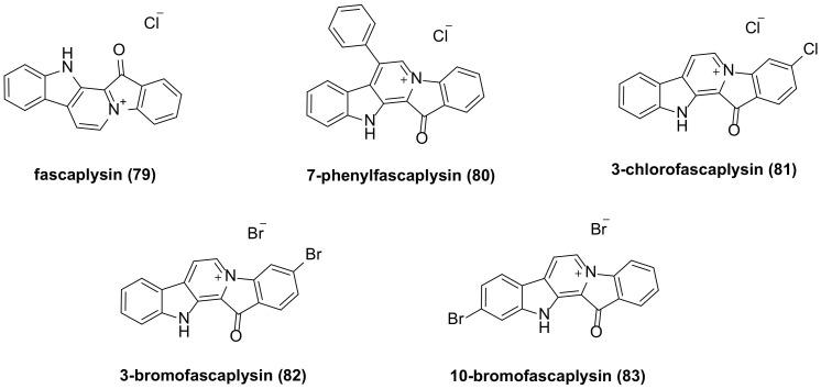 https://cdn.ncbi.nlm.nih.gov/pmc/blobs/1f0c/10935119/76c4f4560be1/molecules-29-00933-g005.jpg